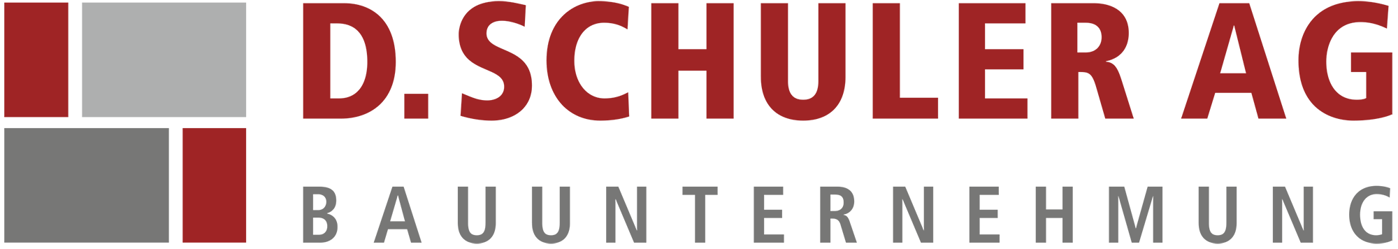 logo schulerbau